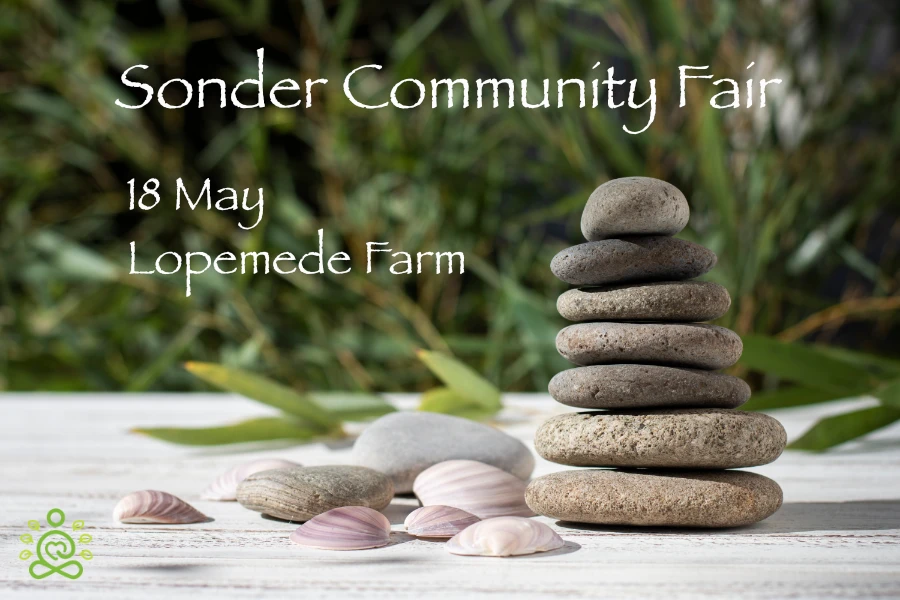 Sonder Wellbeing Community Fair