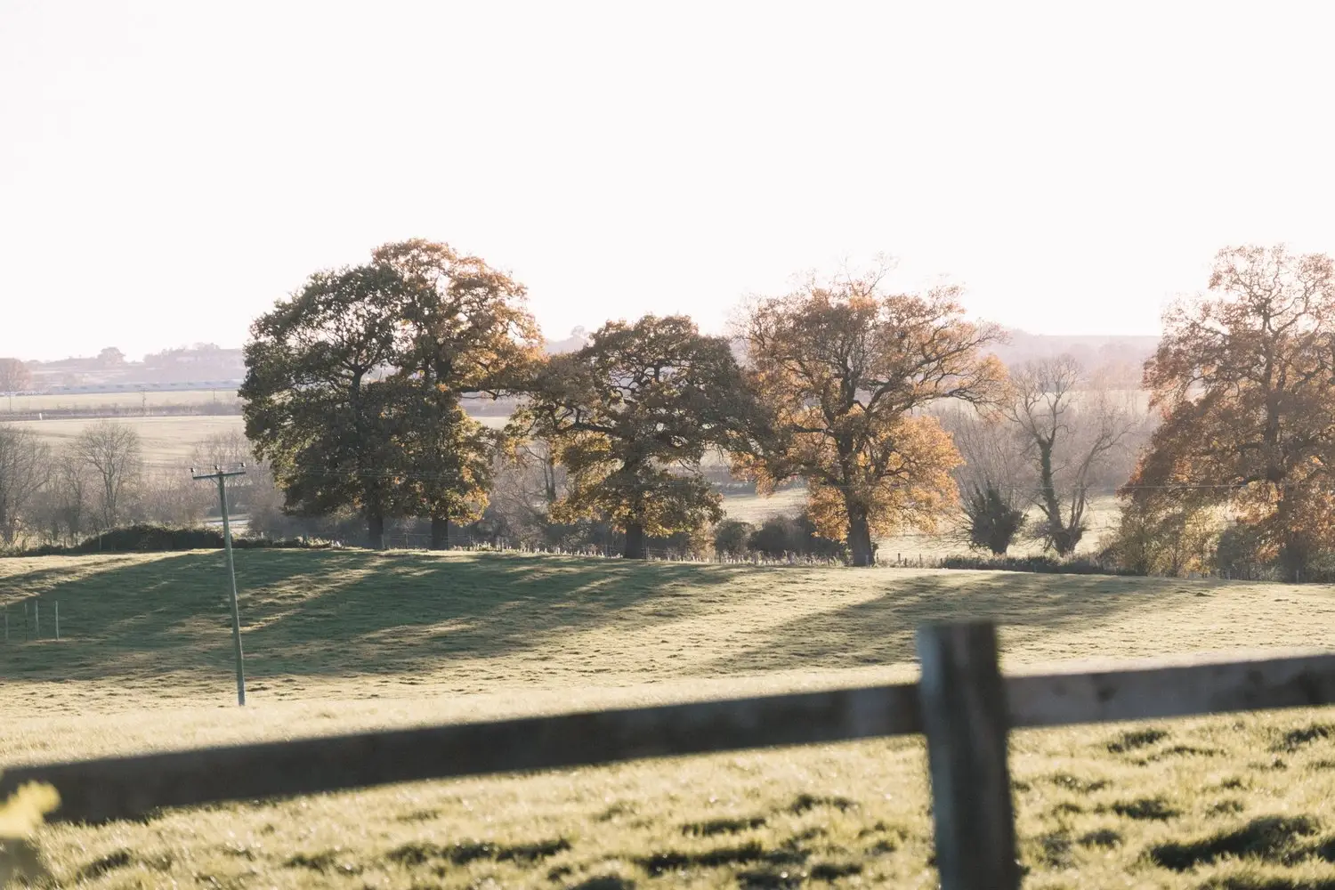 Lopemede Farm