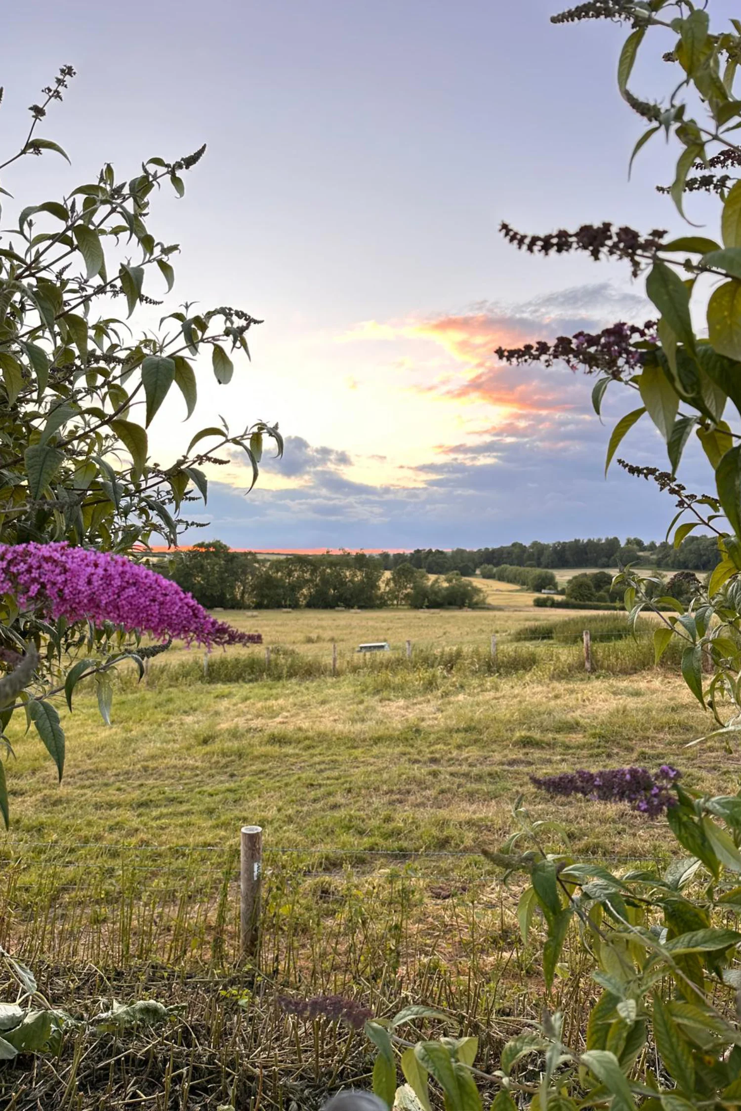 Lopemede Farm